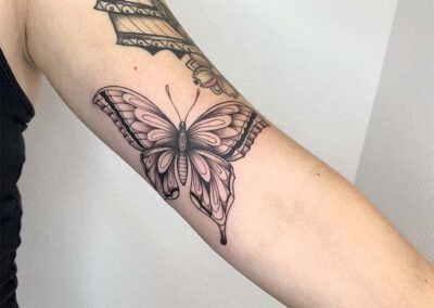 Black Lining - Franka - 2022 - Butterfly - Vlinder